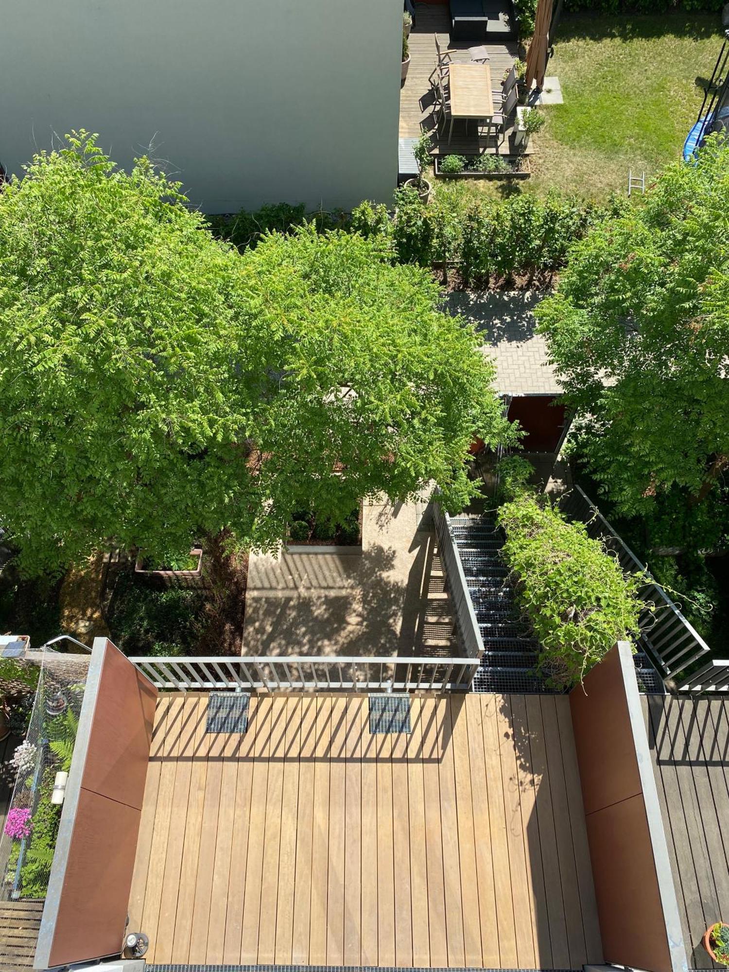 Townhouse Alaunpark Villa Dresden Exterior photo